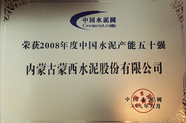 “2008年度中国水泥产能五十强”